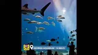 Adventure in Lithia Springs, GA - My Place Hotels!
