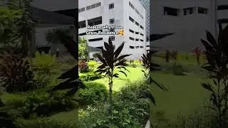 A resident here for 6 years now🥰 #condoliving #condo #staycationph #condotel