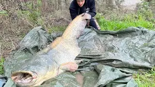 PESCA AL SILURO DUE BIG A RIVA 