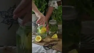 Lemon Basil Infused Vinegar 🍋 COTTAGECORE 🌿 Natural Cleaning 🧹 www.underatinroof.com