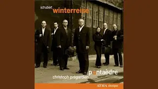 Die Winterreise, D. 911: No. 16, Der Wegweiser