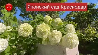 🌺ПАРК Галицкого и море цветов Японский сад 2025.