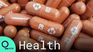 Merck's Covid-19 Pill Reduces Hospitalizations, Deaths  by 50%: Trials
