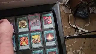 cosmo blazer binder update