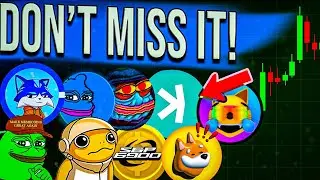 Best Meme Coins & Altcoins Trades To Watch Now!