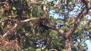 Look at the flying wood chips..