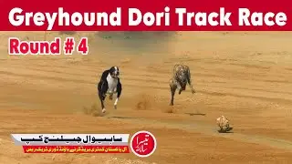 Greyhound Dori Track Race || Round No 4 ||  Sahiwal Cup 2024 || 16-12-2024  #dog #greyhound