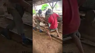 Amazing !! Wadang Wood sawmill for export production  Indonesian Sawmill | Wood Sawmill Machine