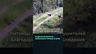 Семеро студентов из Беларуси ползли через границу в Литву #беларусь #новости #граница