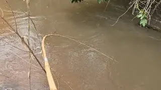 PESCA NO RIO DOS PIAU GIGANTESCOS, E DOURADOS!!!!