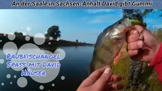 An der Saale in Sachsen Anhalt David gibt Gummi