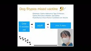 Dog&rsquo;s vaccination program in my clinic (explanation for foreigner&rsquo;s pet owners )