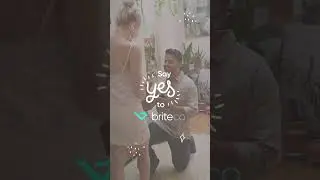 Say YES to BriteCo!