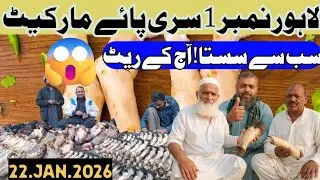 Lahore Ka Sab Se Bara Sasta Siri Paye Oujri Market 😱 | Aaj Ke Taza Rates | Full Vlog