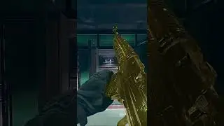 GOLD EBR!!! #cod #mw2 #shorts