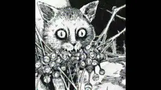wawawa - unused biitsu - fuck cats and their fur!