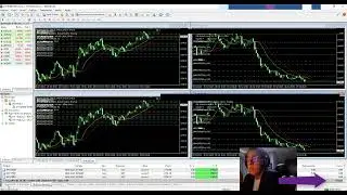 ROBO FOREX - Vendas 87 9 8147-9975
