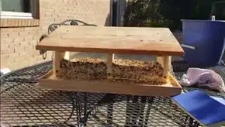 (Episode 2341) Unboxing Videos: StarkWeatherWoods Double Fill Cedar Birdfeeder