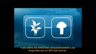 UART PREVENCIÓN DE RIESGOS EN EL MANEJO DE AGROQUÍMICOS