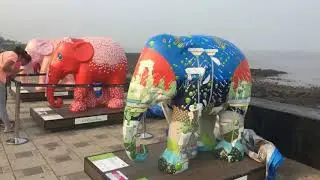 101 Elephant Parade | Mumbai Elephant Parade |