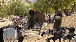 Nomadic Life | Building a traditional stone wall to protect a nomadic tent in the mountains