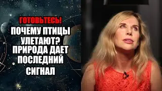 ПОЧЕМУ ПТИЦЫ УЛЕТАЮТ ПРИРОДА ДАЕТ ПОСЛЕДНИЙ СИГНАЛ!
