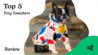 Best Dog Sweaters 2024: Rover's Top 5 Winter Picks for Your Pup