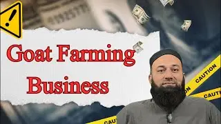 Goat Farming Business Tricks