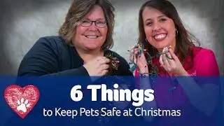 Holiday Pet Safety: Pet Care Pro Show
