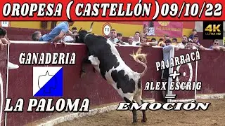 👌OROPESA 09/10/22 LA PALOMA