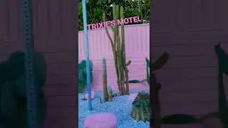 palm springs Trixie motel #california #love #life #vibes #avocado #home #desert #duo