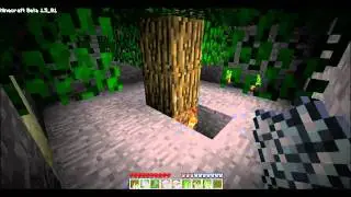 [HD] Minecraft - Response to LuclinMCWB about trees