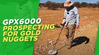 Minelab GPX 6000 Metal Detecting and Finding Gold Nuggets.