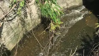 precious water | will flow in your heart @Ascend-e8q