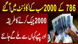 Ehsaas Program 786 SMS 2000 By Shahbaz sharif Scheme And Miftah Ismail l Latest Update 786 SMS 2000