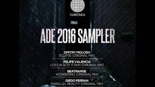 Diego Ferran: Parallel Reality (Original Mix)