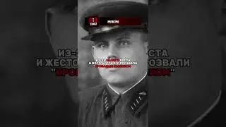 ЗА ЧТО СТАЛИН РАССТРЕЛЯЛ НИКОЛАЯ ЕЖОВА?!😱 #история #факты #ссср #россия