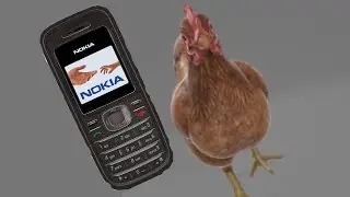 pollo  fotando pero con el tono de llamda de nokia