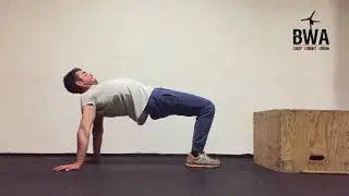 STRETCHING SPALLE, PETTORALI, DORSALI, BICIPITI E TRICIPITI | COBRA ROUTINE
