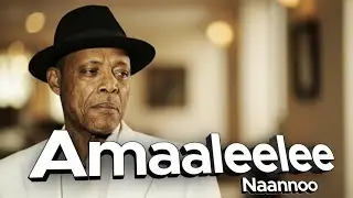 Ammaleelee, Sirba Jaalatamaa Artiist Alii Birraa Dhandhamaa | Muziqa Bareda 2025