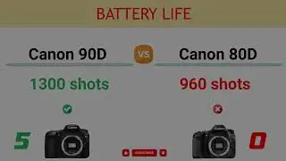 Canon 90D vs Canon 80D Comparison: 12 Reasons to buy the 90D and 2 Reasons to buy the 80D