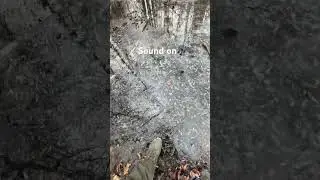 Squeaking ice! #asmr #satisfying #breaking #forest #puddle #leaves #squeaky #cracked #hiking #water