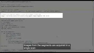 AutoScript acquisition of HAADF and 12 segments from DF detector