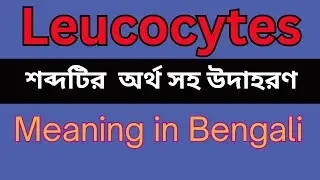 Leucocytes Meaning In Bengali /Leucocytes mane ki