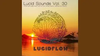Lucid Sounds, Vol. Thirty Deep Flow I