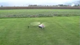 Timo Wendtland - Logo 600 SE - smooth 3D low RPM
