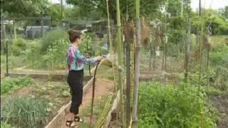 Gardens, bike polo, concerts: Input shaping future of Austin parks