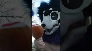 @FurryReksi_Off #furry #рексилегенда #рекси #fursuit #шортс #cosplay #rec #furries #фурри
