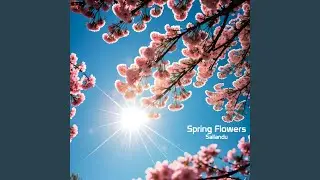 Spring Flowers