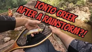 Fly Fishing brown and rainbow trout; Tonto Creek AZ- my wife came along!
